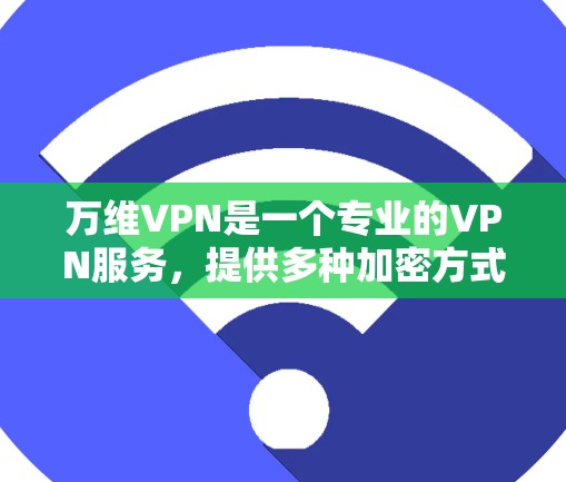 万维VPN是一个专业的VPN服务，提供多种加密方式和多点网络支持，旨在保护用户的数据和隐私。以下是对万维VPN的详细介绍