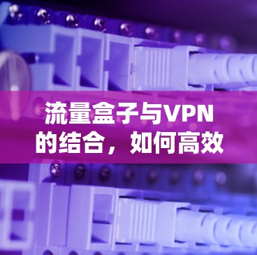 流量盒子与VPN的结合，如何高效实现加密与低延迟数据传输