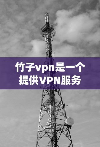 竹子vpn是一个提供VPN服务的网站，旨在帮助用户连接到安全的VPN服务器。以下是一个详细的使用步骤指南
