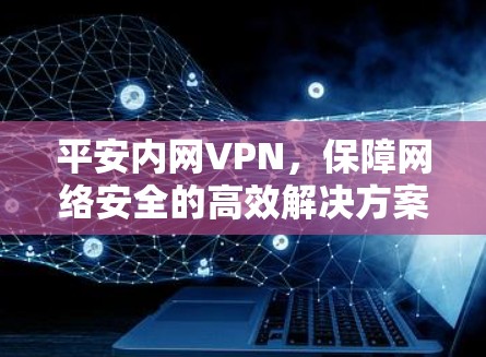 平安内网VPN，保障网络安全的高效解决方案