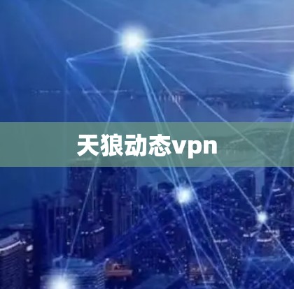 天狼动态vpn