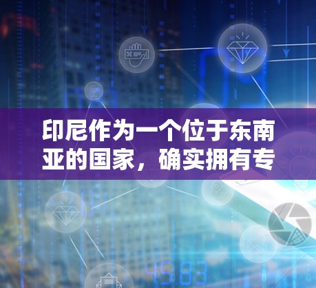 印尼作为一个位于东南亚的国家，确实拥有专门的VPN服务。以下是一些印尼使用VPN的公司和主要服务