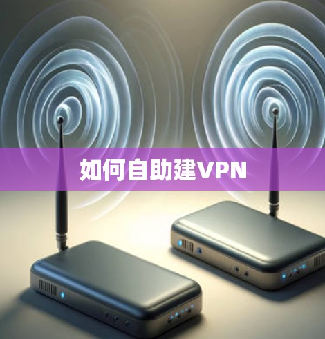 如何自助建VPN