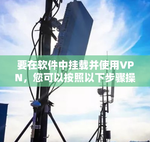 要在软件中挂载并使用VPN，您可以按照以下步骤操作