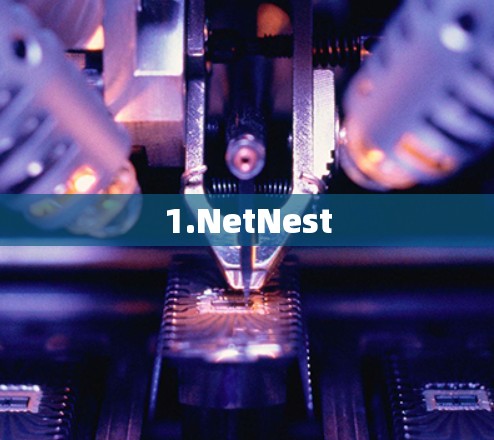 1.NetNest