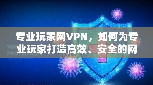 专业玩家网VPN，如何为专业玩家打造高效、安全的网络连接