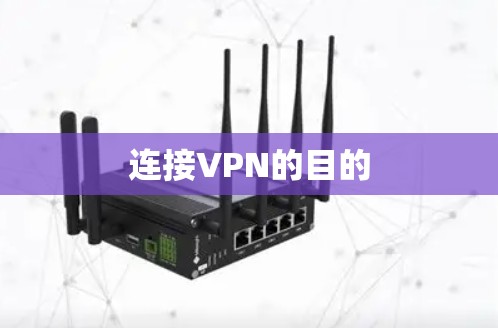 连接VPN的目的