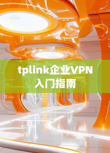 tplink企业VPN入门指南