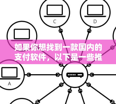 如果你想找到一款国内的支付软件，以下是一些推荐和可能的解决方案