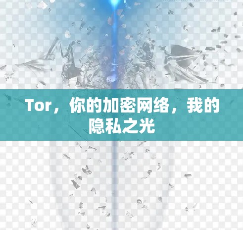 Tor，你的加密网络，我的隐私之光