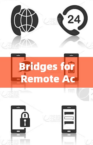 Bridges for Remote Access in Improved VPN Solutions