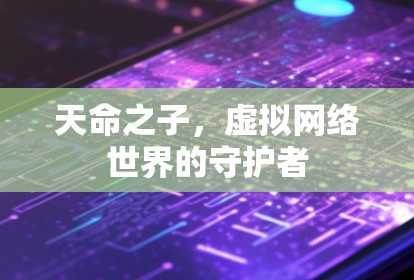 天命之子，虚拟网络世界的守护者
