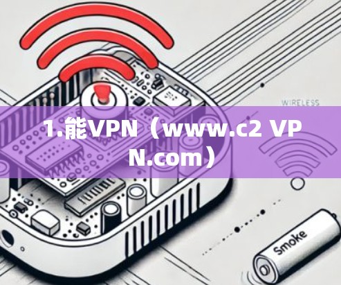 1.能VPN（www.c2 VPN.com）
