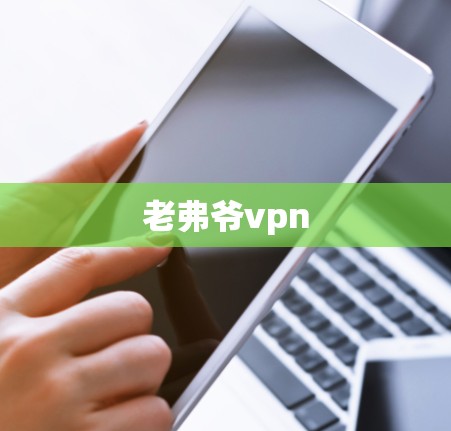 老弗爷vpn 老弗爷vpn