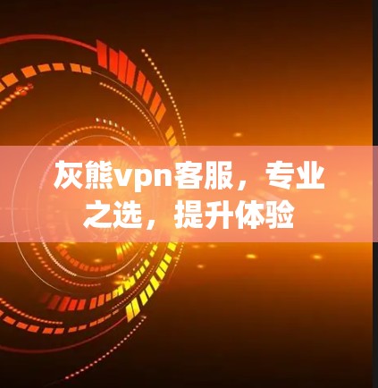 灰熊vpn客服,专业之选,提升体验 灰熊vpn客服,专业之选,提升体验