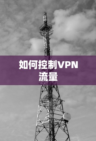如何控制VPN流量