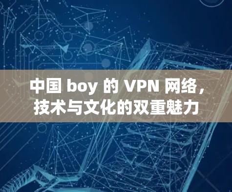 中国 boy 的 VPN 网络，技术与文化的双重魅力