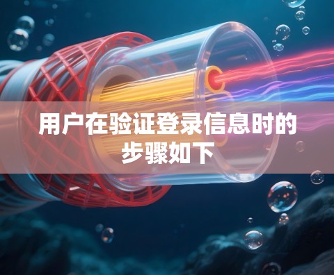 用户在验证登录信息时的步骤如下