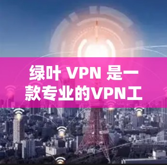 绿叶 VPN 是一款专业的VPN工具，适合需要专业级加密服务的用户。以下是一步步的使用指南