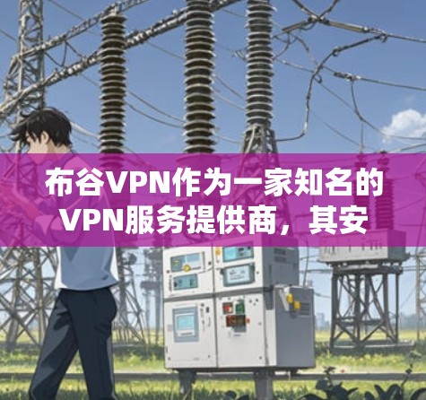 布谷VPN作为一家知名的VPN服务提供商，其安全性和可靠性在行业内有一定的认可。然而，任何网络都存在潜在的安全风险，因此使用VPN服务时，重要的是要采取有效措施来保护自己的信息安全