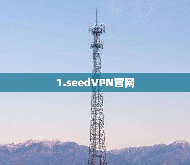 1.seedVPN官网 1.seedVPN官网