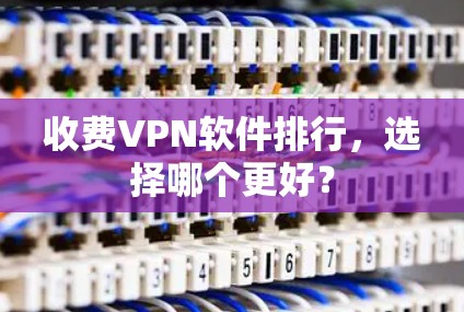 收费VPN软件排行，选择哪个更好？