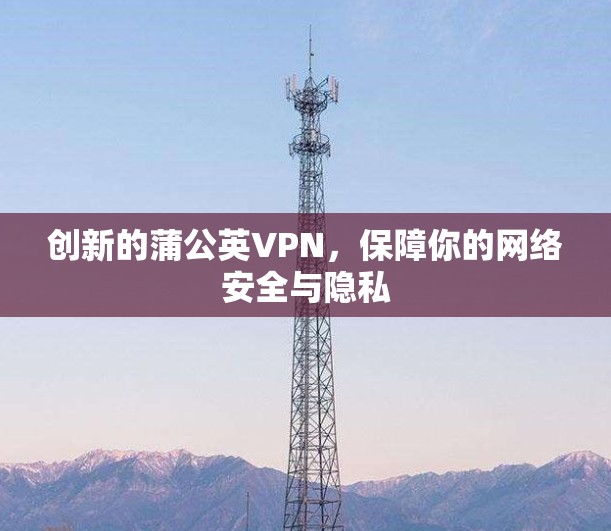 创新的蒲公英VPN，保障你的网络安全与隐私