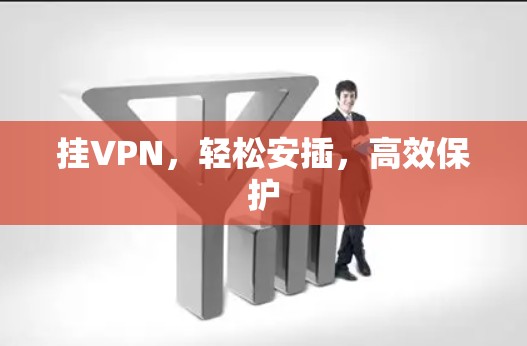 挂VPN，轻松安插，高效保护