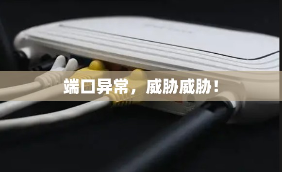 端口异常，威胁威胁！