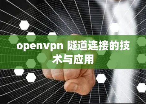 openvpn 隧道连接的技术与应用