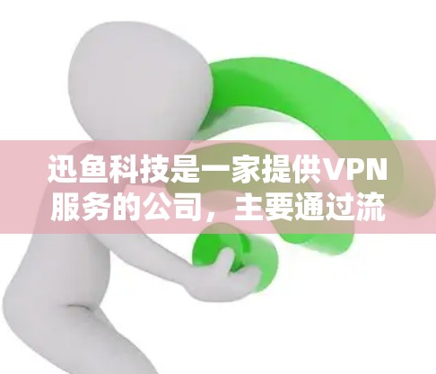 迅鱼科技是一家提供VPN服务的公司，主要通过流媒体、在线游戏和视频会议等用途提供加密连接。以下是对迅鱼科技VPN服务的详细介绍
