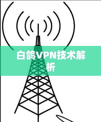 白鸽VPN技术解析