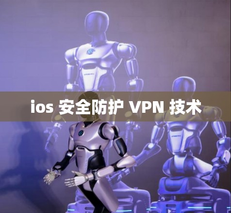 ios 安全防护 VPN 技术