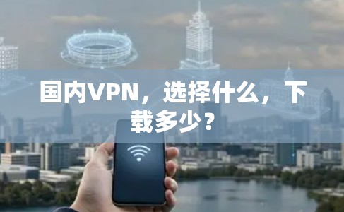 国内VPN，选择什么，下载多少？