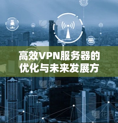 高效VPN服务器的优化与未来发展方向