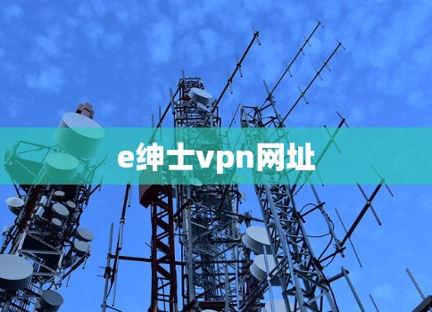 e绅士vpn网址
