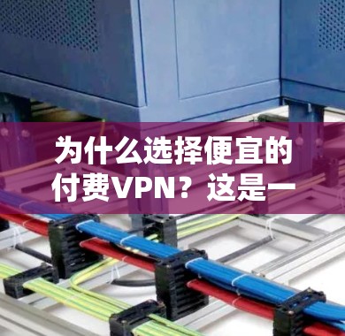 为什么选择便宜的付费VPN？这是一个值得深思的问题