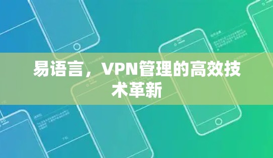 易语言，VPN管理的高效技术革新