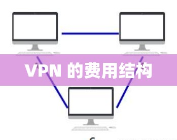 VPN 的费用结构