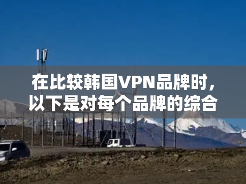 在比较韩国VPN品牌时，以下是对每个品牌的综合评价和推荐