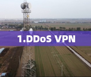 1.DDoS VPN