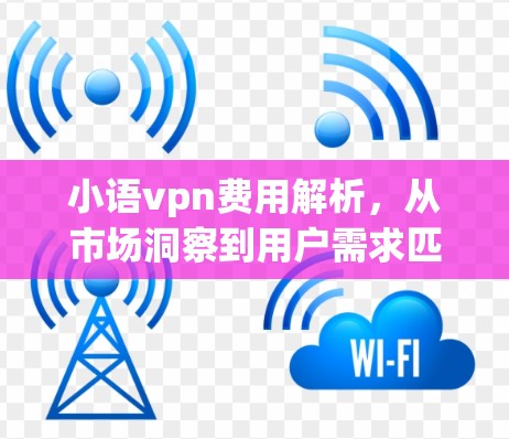 小语vpn费用解析，从市场洞察到用户需求匹配