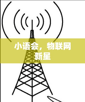小语会，物联网新星