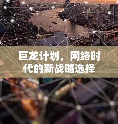 巨龙计划,网络时代的新战略选择 巨龙计划,网络时代的新战略选择