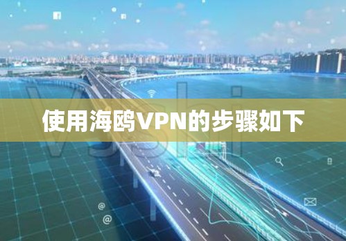 使用海鸥VPN的步骤如下