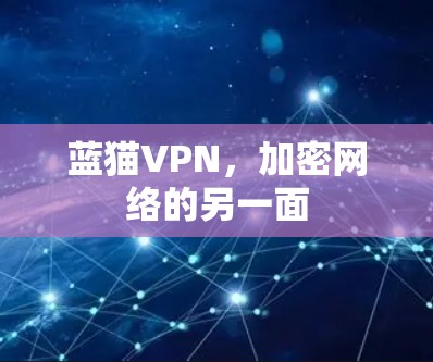 蓝猫VPN，加密网络的另一面