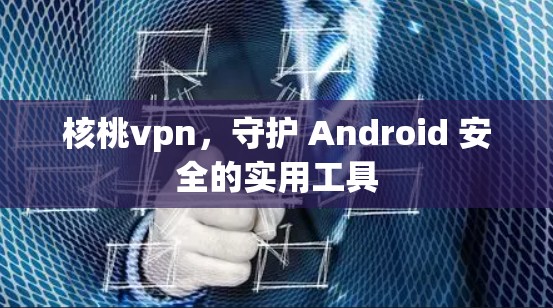 核桃vpn，守护 Android 安全的实用工具