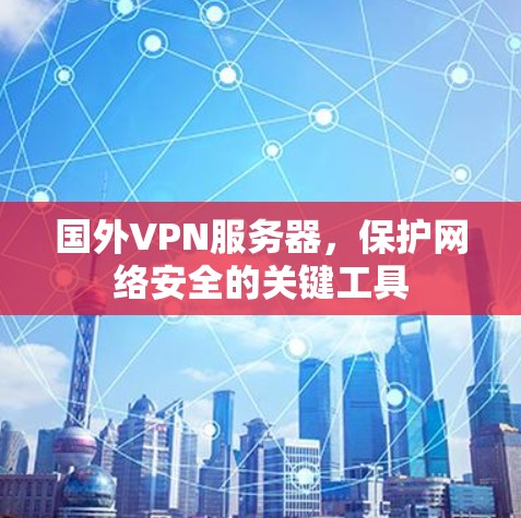 国外VPN服务器，保护网络安全的关键工具