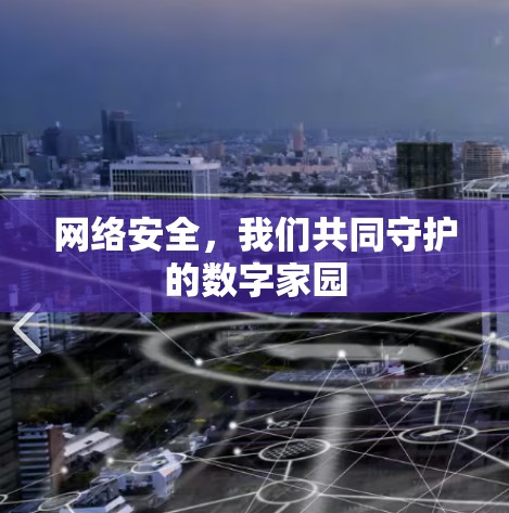 网络安全,我们共同守护的数字家园
