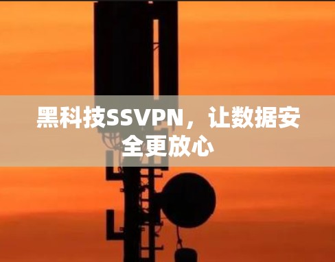 黑科技SSVPN，让数据安全更放心